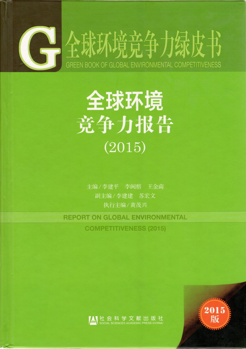 黑人性交内射液免费视频全球环境竞争力报告（2017）